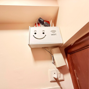 Furnished Amenities in 1 BHK Apartment at Rizvi Cedar, Karur Village – for Rent