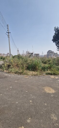 Plot For Sale in Sector-25