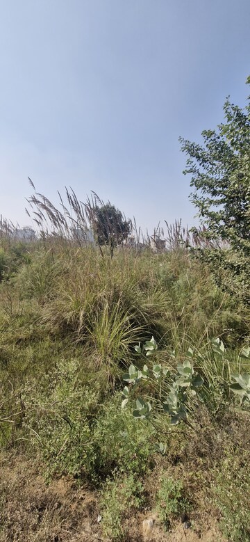 Plot Area in  Plot at SectoR-25 – for Sale