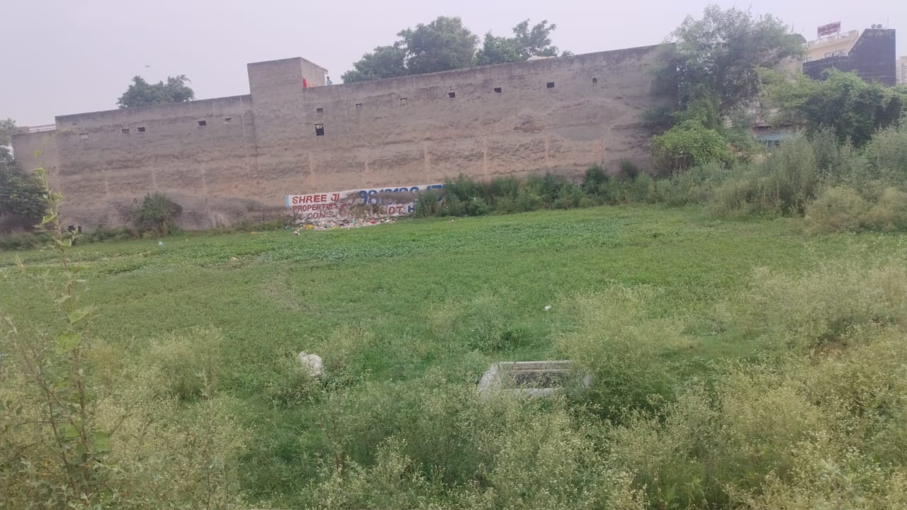 Plot For Sale in Sector 12