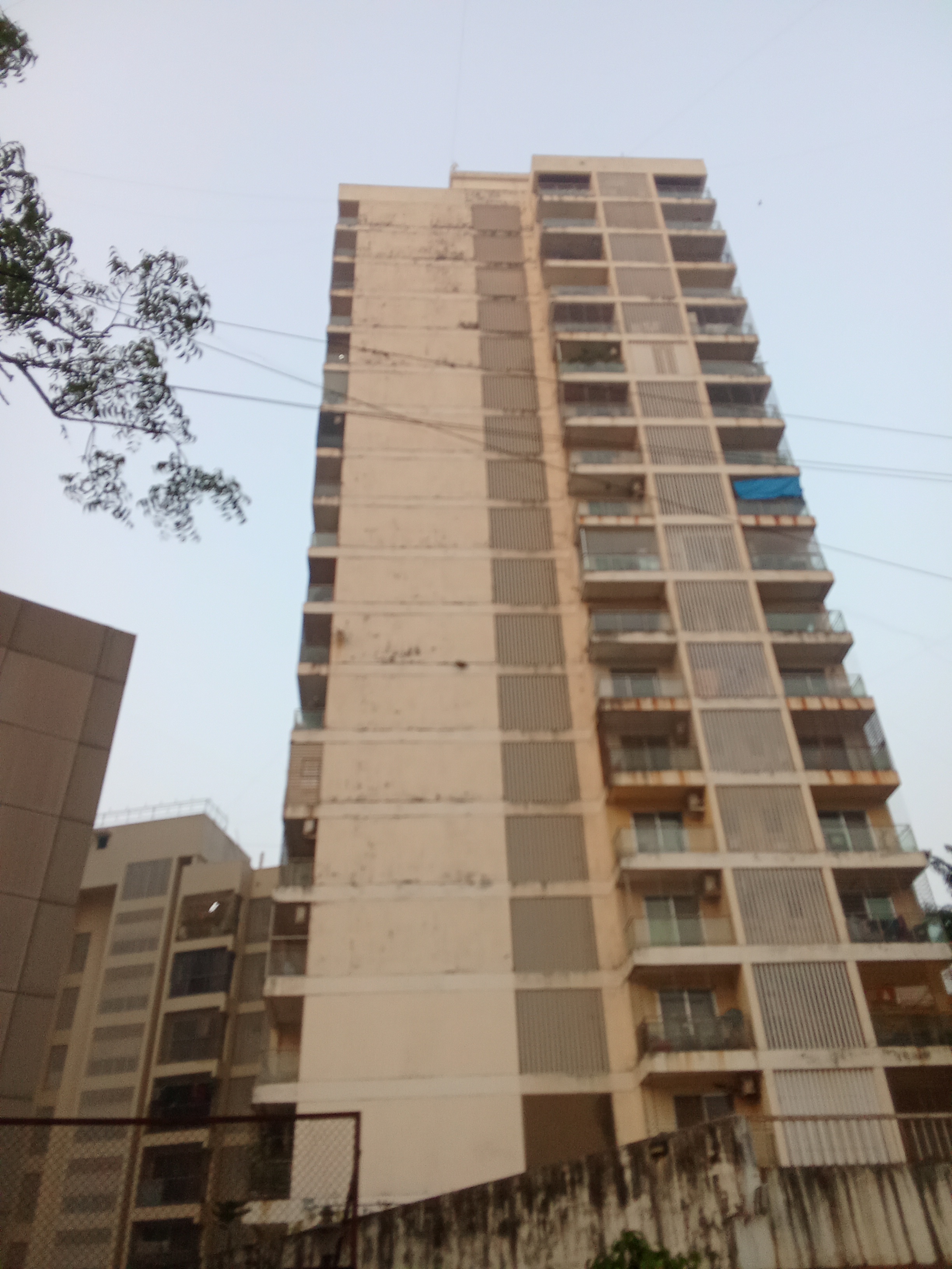 2 BHK Apartment For Rent in Snowdrop CHS