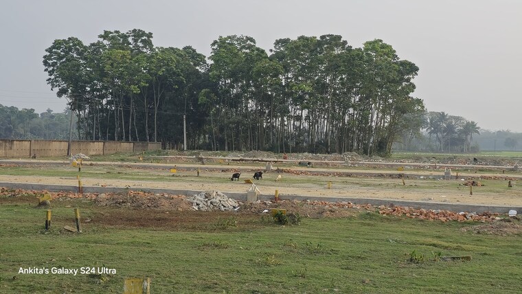 undefined, new town  2160 Sq.Ft. Plot In New Town Kolkata 9532243