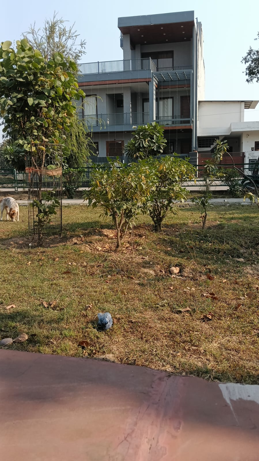 2 BHK Builder Floor For Rent in Aerocity