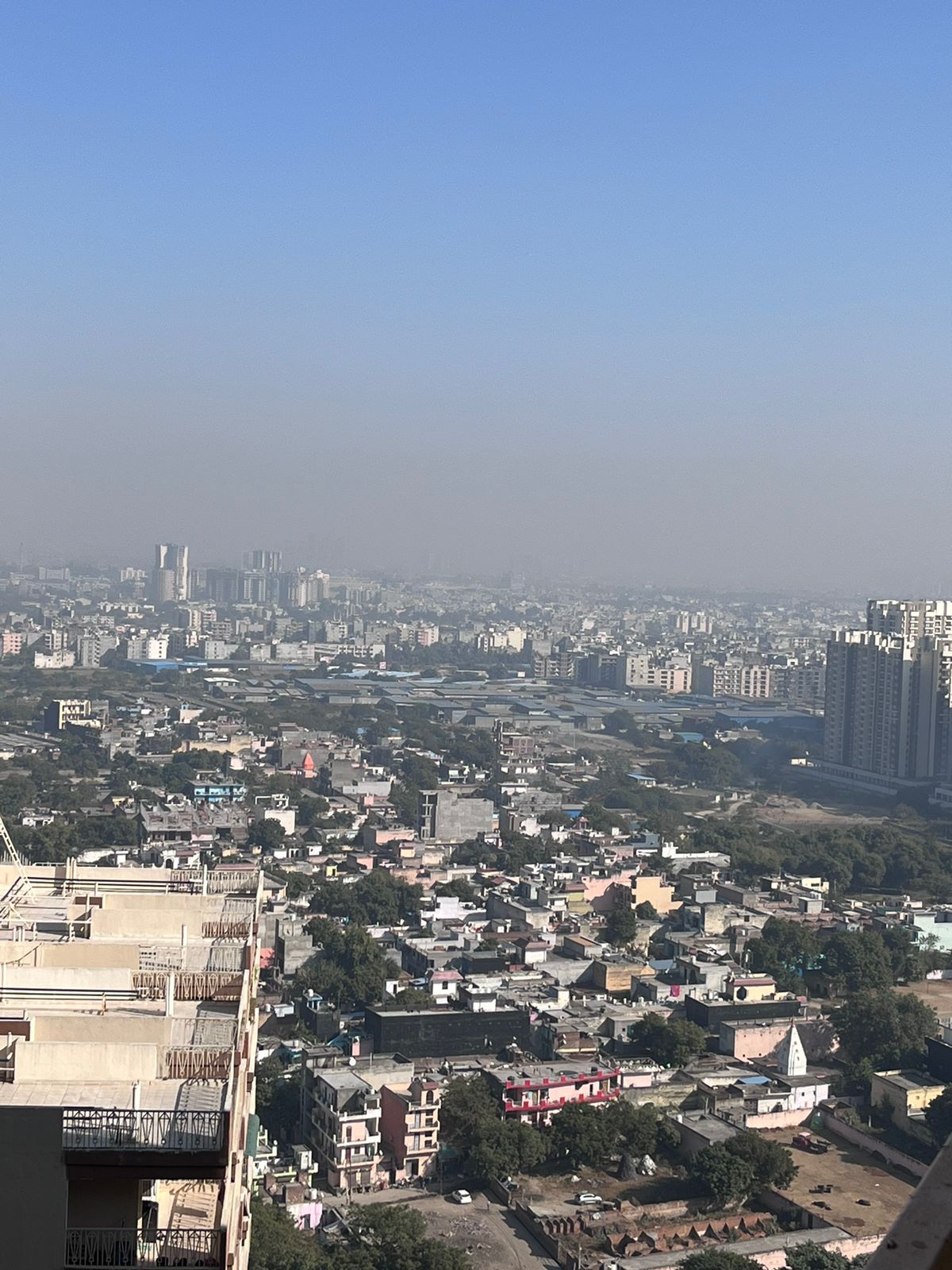 2 BHK Apartment For Rent in Gaur City 7th Avenue