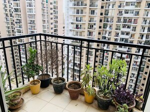 Gym in 2.5 BHK Apartment at Geotech Pristine Avenue, Sector 16c Greater Noida – for Rent