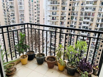 Gym in 2.5 BHK Apartment at Geotech Pristine Avenue, Sector 16c Greater Noida – for Rent