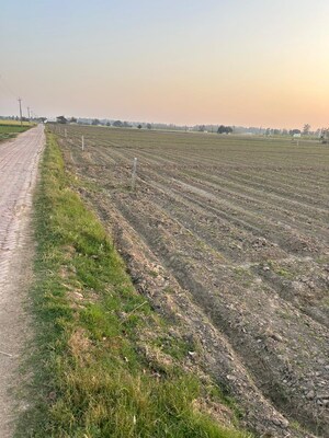  Plot For Sale in Sector 32