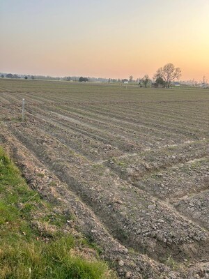 Plot Area in  Plot at Sector 32 – for Sale