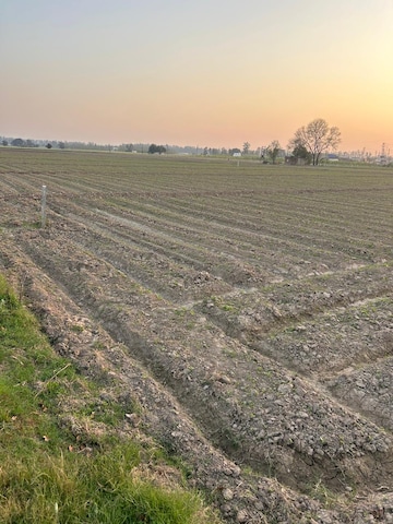 Plot Area in  Plot at Sector 32 – for Sale