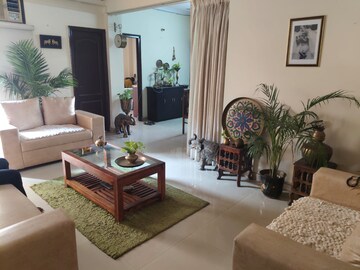 Living Room in 2 BHK Apartment at SCC Sapphire, Raj Nagar Extension – for Rent