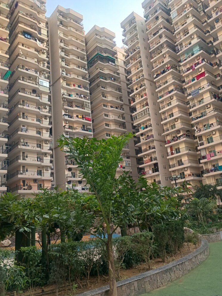Exterior View, windsor-paradise-2 2 Bedroom 895 Sq.Ft. Apartment In Raj Nagar Extension Ghaziabad 9533693