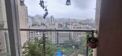 2 BHK Apartment For Sale in Squarefeet Ace Square phase 2