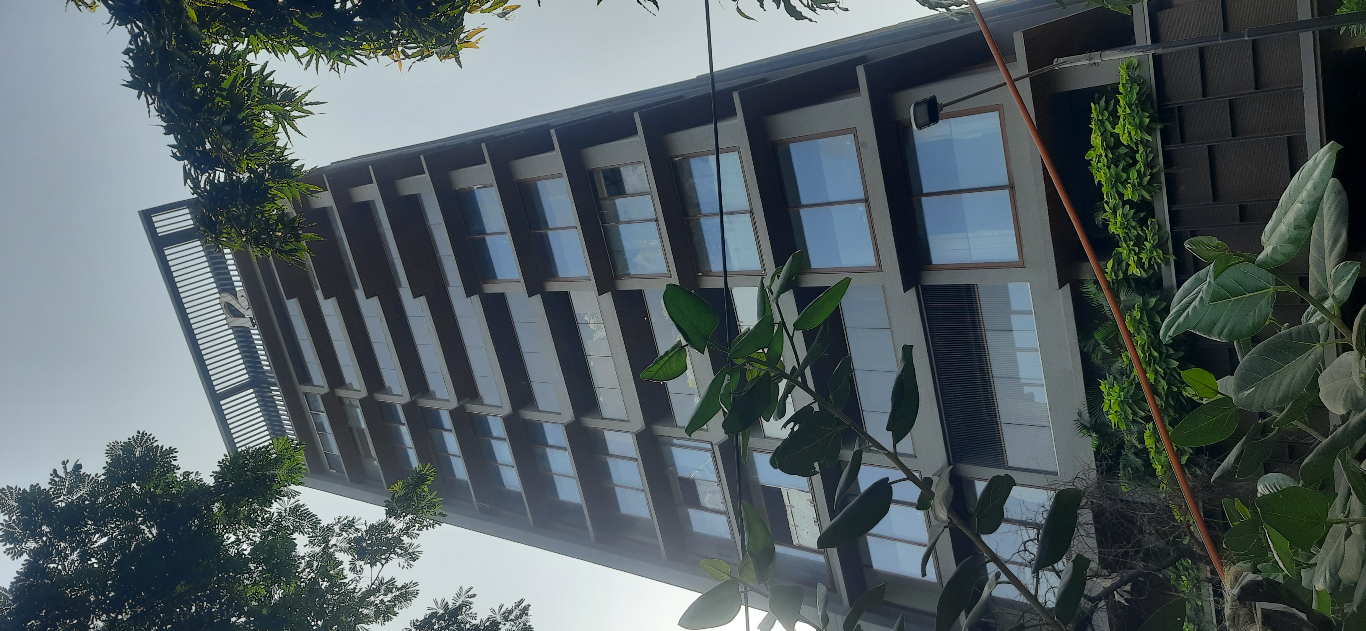 4 BHK + Servant Room Apartment For Rent in Brand Newbuilding