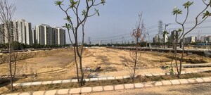 Plot Area in  Plot at VKS Palm Drive, Pataudi – for Sale