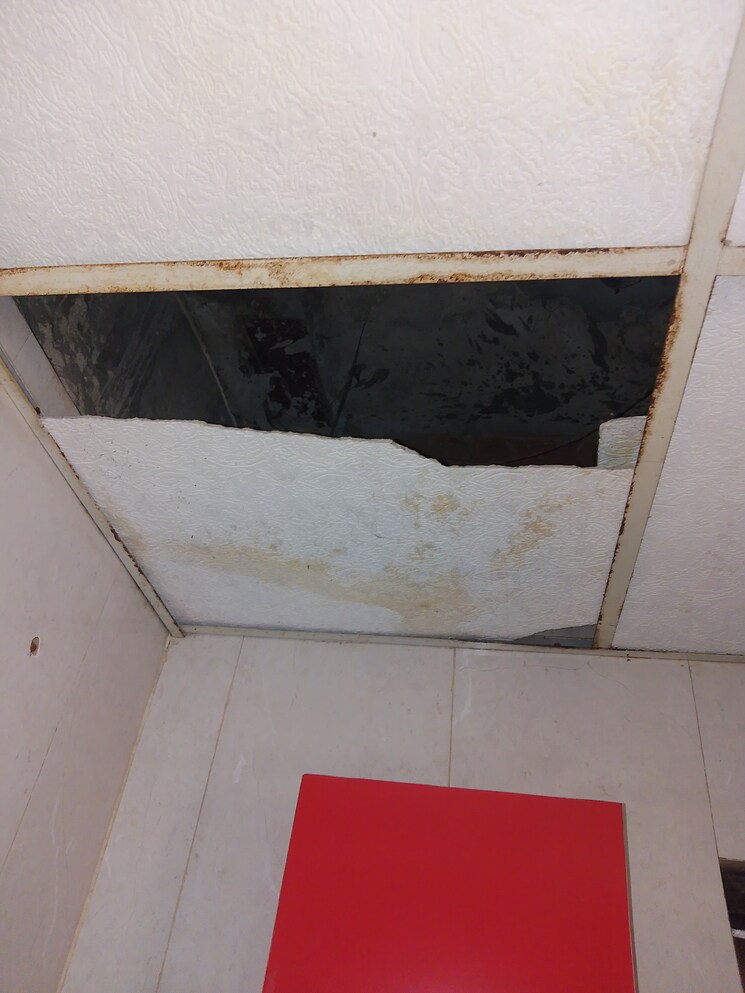 Kitchen, divine-meadows 3 Bedroom 1491 Sq.Ft. Apartment In Sector 108 Noida 9535203