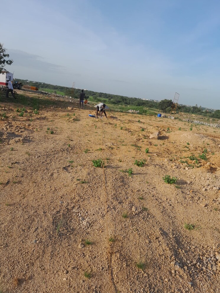 undefined, kothur  155 Sq.Yd. Plot In Kothur Hyderabad 9535484