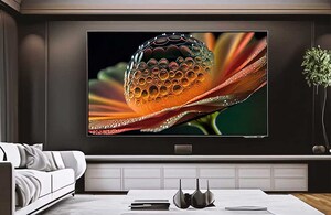 Living Room in 2 BHK Apartment at Ekta CHS Ltd, Gokuldham Colony – for Rent