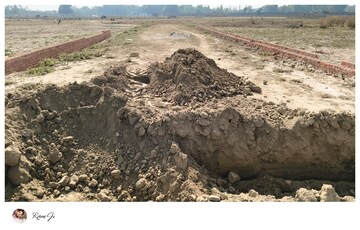 Plot Area in  Plot at Sultanpur – for Sale