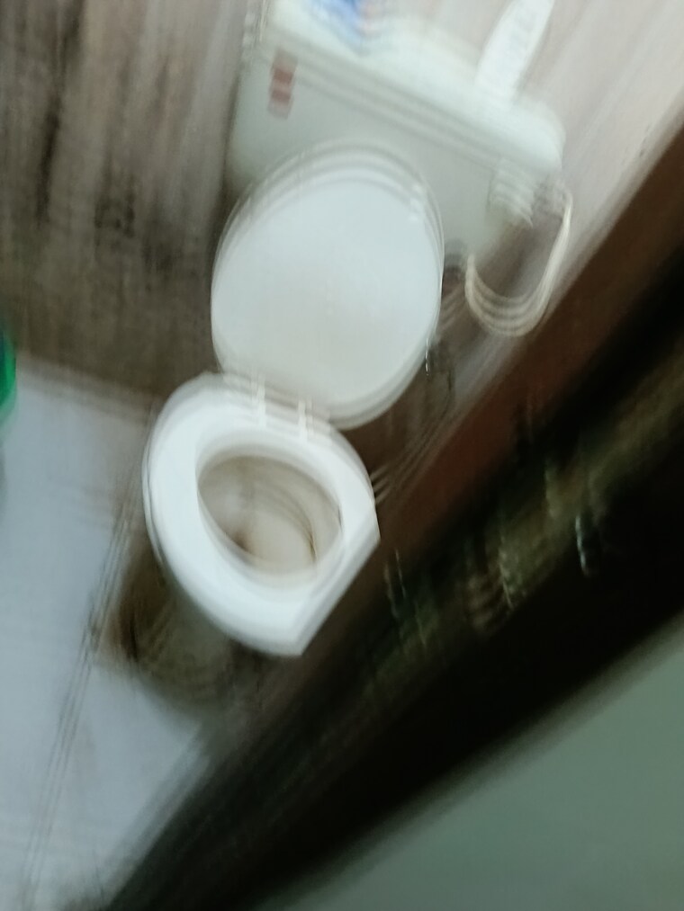 Bathroom, neb sarai 1 Bedroom 450 Sq.Ft. Builder Floor In Neb Sarai Delhi 9536075