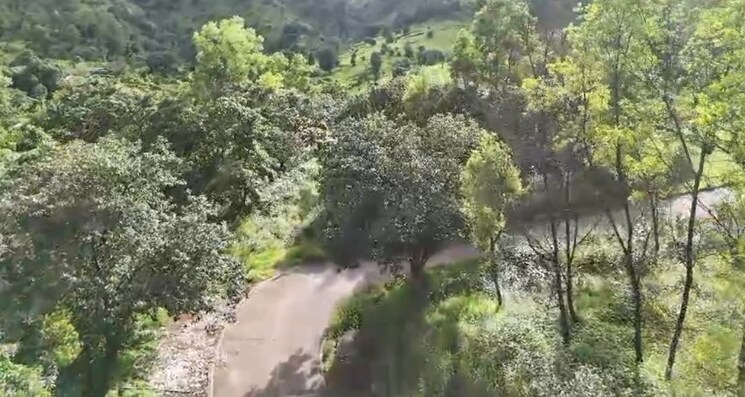 Garden, velhe  22000 Sq.Ft. Plot In Velhe Pune 9536432