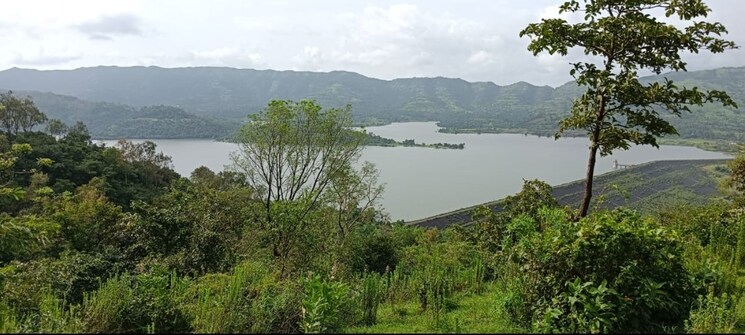 Garden, velhe  22000 Sq.Ft. Plot In Velhe Pune 9536432