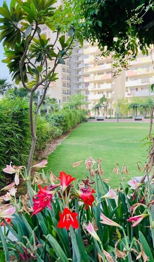 3 BHK Apartment – Garden View at Bestech Park View Sanskruti, Sector 92 - for Sale