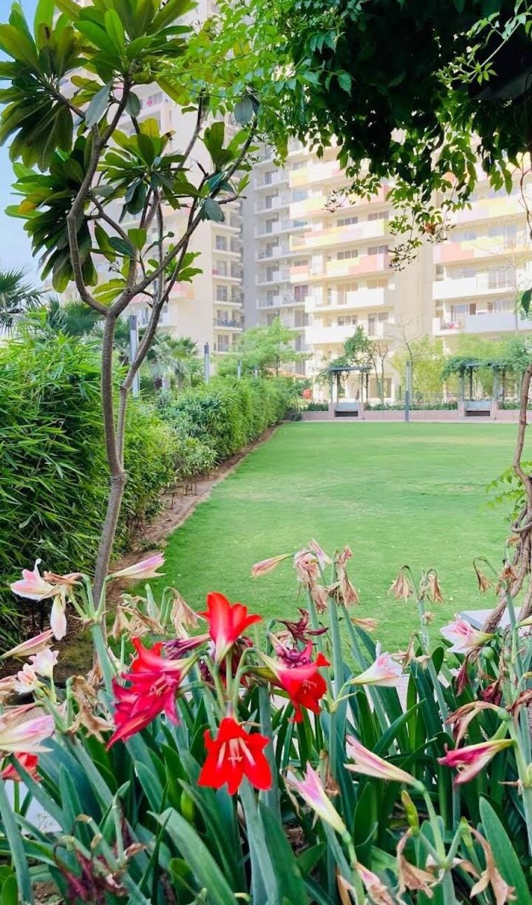 Garden, bestech-park-view-sanskruti 3 Bedroom 1995 Sq.Ft. Apartment In Sector 92 Gurgaon 9536713