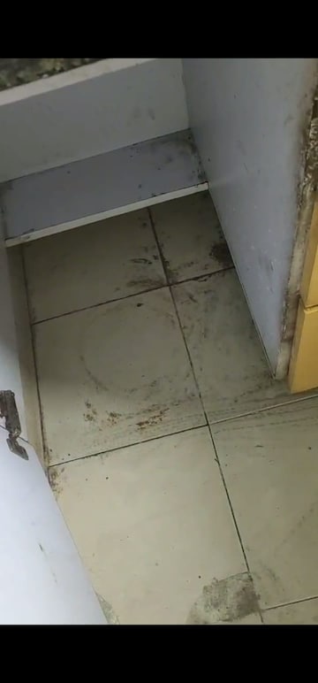 Furnished Amenities in 2 BHK Apartment at BPTP Princess Park, Sector 86 – for Rent