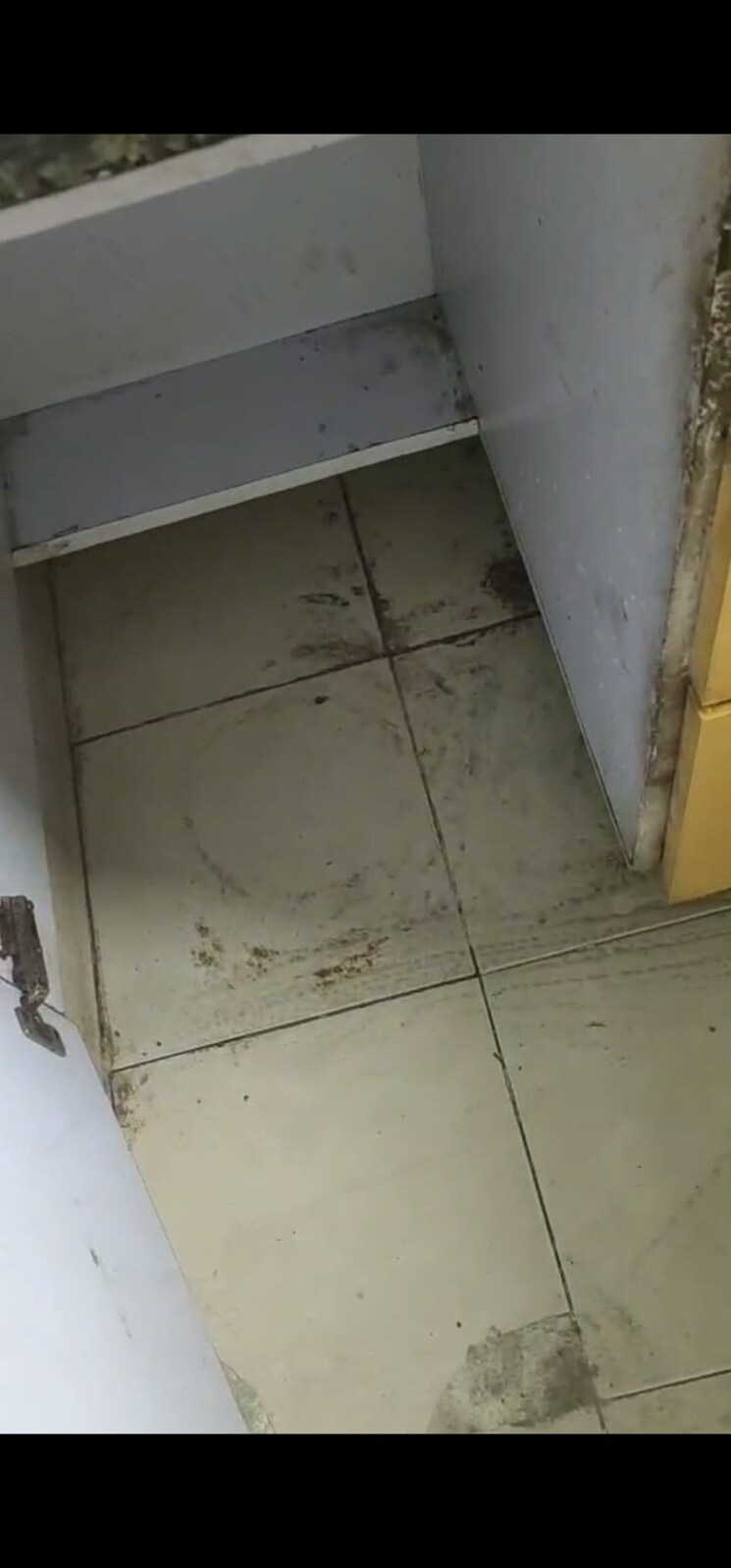 undefined, bptp-princess-park 2 Bedroom 1261 Sq.Ft. Apartment In Sector 86 Faridabad 9536772