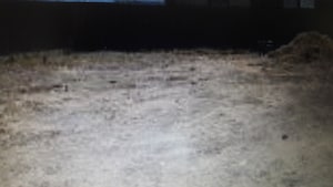  Plot For Sale in Malleswaram