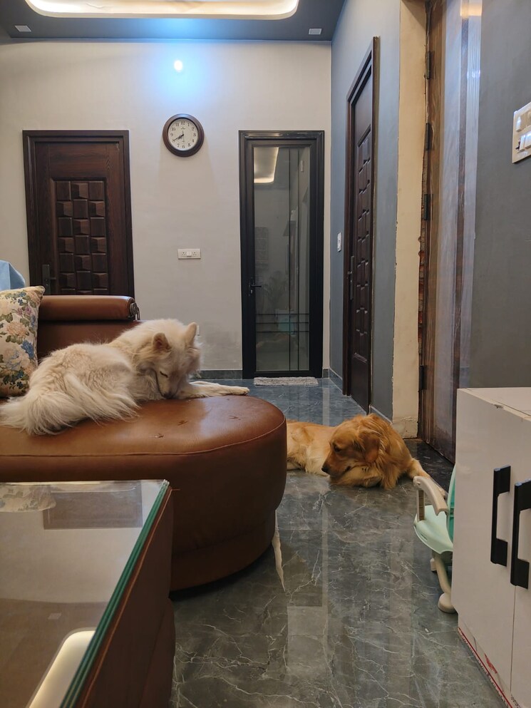 undefined, laxmi nagar 3 Bedroom 1102 Sq.Ft. Builder Floor In Laxmi Nagar Delhi 9537501