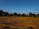 900 Sq.Ft. Plot in Dera Bassi