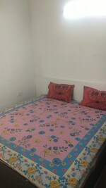 2 BHK + Pooja Room 515 Sq.Ft. Apartment in Tulip Lemon