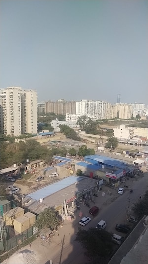 2 BHK Apartment – Exterior View View at Tulip Lemon, Sector 69 - for Rent