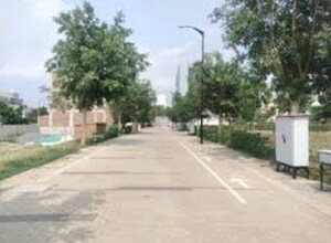  Plot For Sale in Sector 81