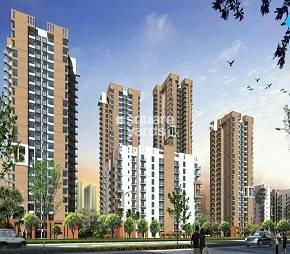 2 BHK + Pooja Room Apartment For Rent in Pioneer Park Phase 1
