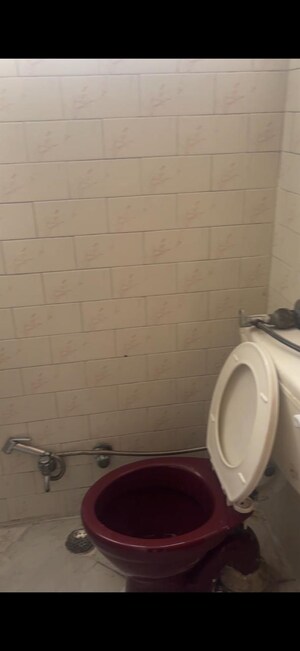 Bathroom in 2 BHK Builder Floor at Panchsheel Enclave – for Rent