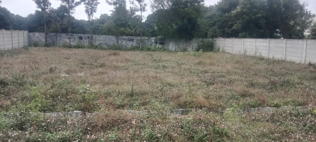Plot For Sale in -