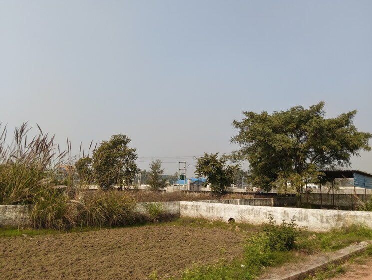 undefined, palm-green  70 Sq.Yd. Plot In Bhanauta Greater Noida 9539400
