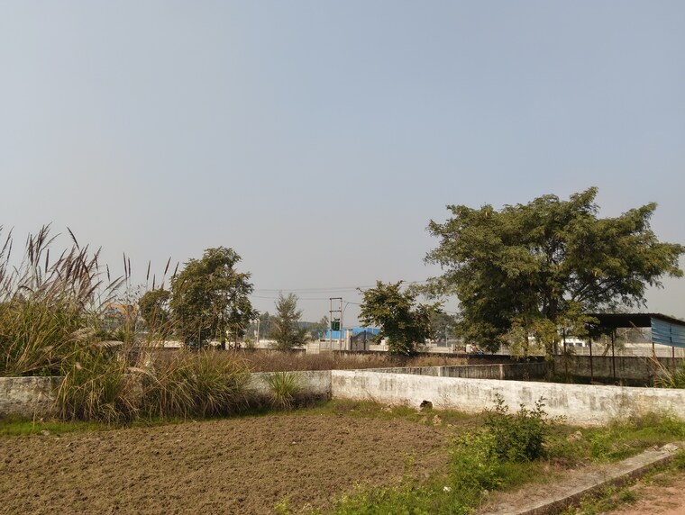 undefined, palm-green  70 Sq.Yd. Plot In Bhanauta Greater Noida 9539400