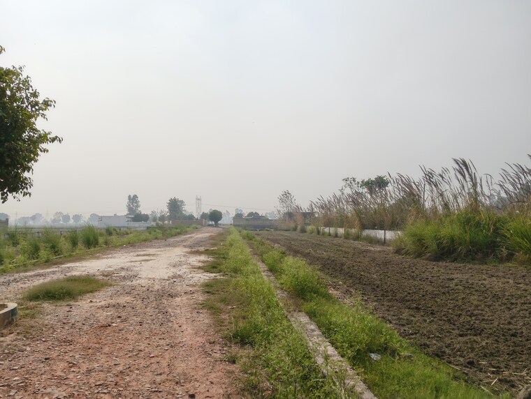 undefined, palm-green  70 Sq.Yd. Plot In Bhanauta Greater Noida 9539400