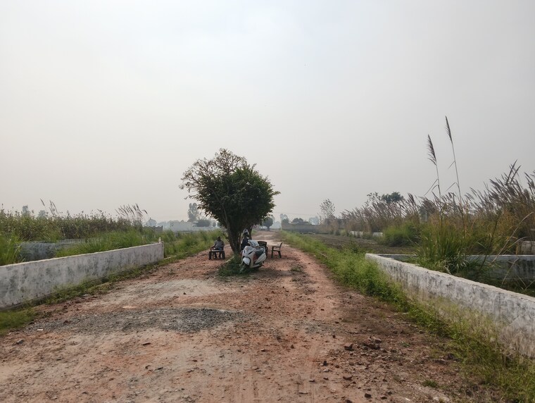 undefined, palm-green  70 Sq.Yd. Plot In Bhanauta Greater Noida 9539400