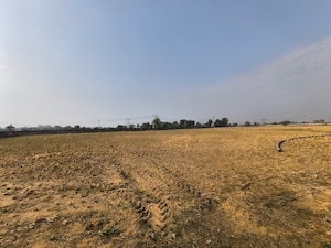 Plot Area in  Land at Pataudi – for Sale