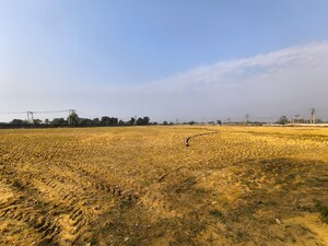 Plot Area in  Land at Pataudi – for Sale