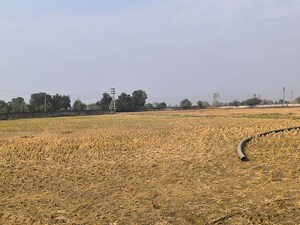 Plot Area in  Land at Pataudi – for Sale