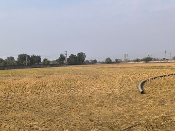 Plot Area in  Land at Pataudi – for Sale