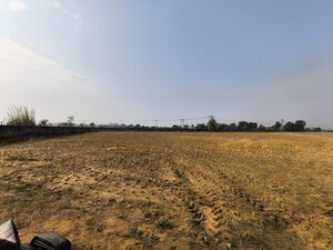 Plot Area in  Land at Pataudi – for Sale