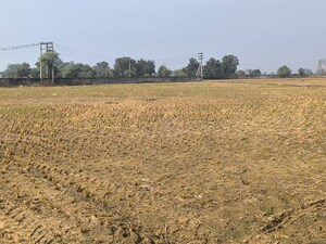 Plot Area in  Land at Pataudi – for Sale