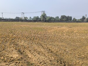 Plot Area in  Land at Pataudi – for Sale