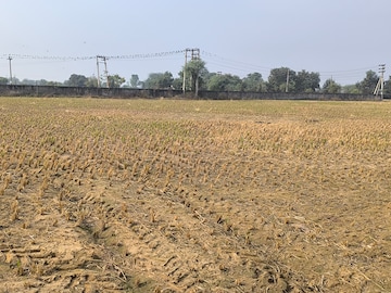 Plot Area in  Land at Pataudi – for Sale